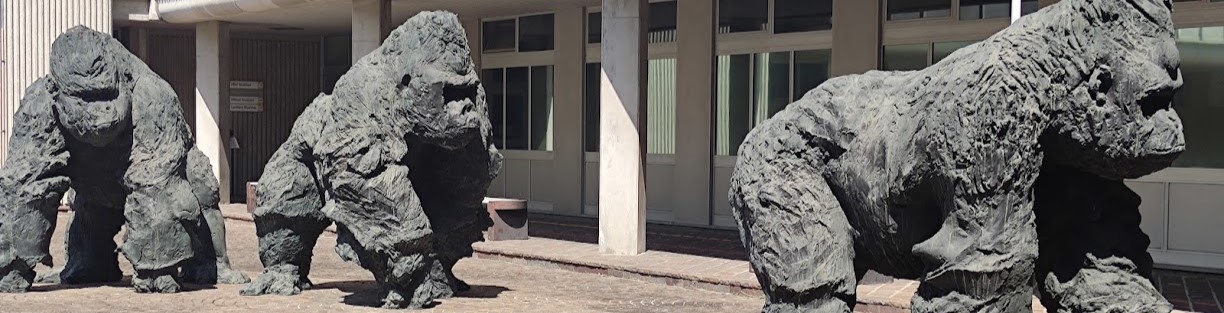 I Gorilla dell'artista Davide Rivalta